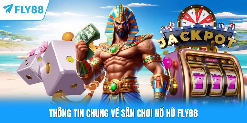 Thông tin chung về sân chơi nổ hũ FLY88